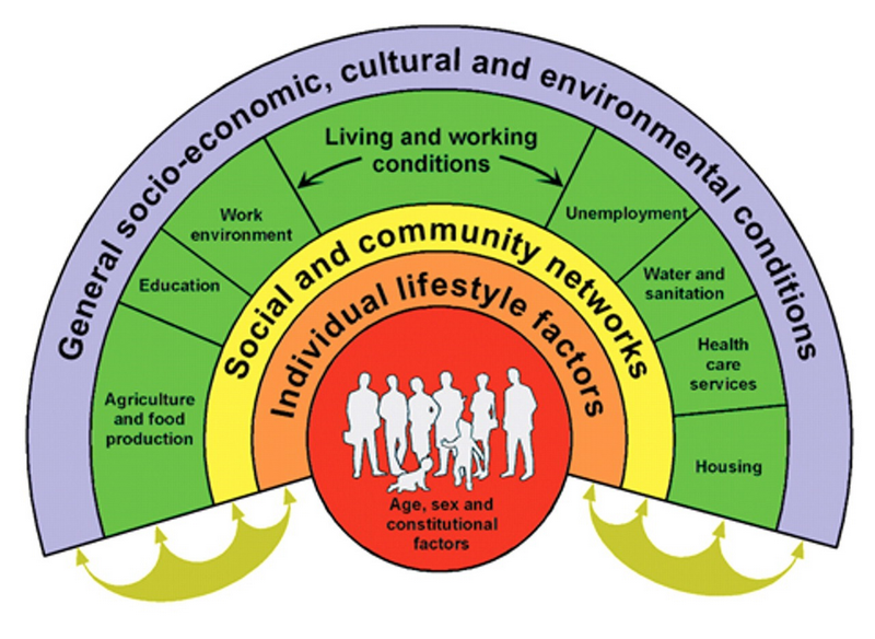 Health Determinant 